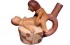 Peruvian Erotic Pottery
